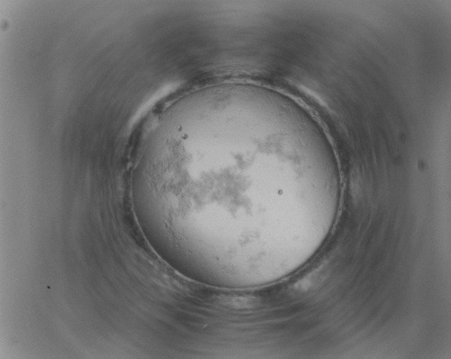 X0000061741309200512231450