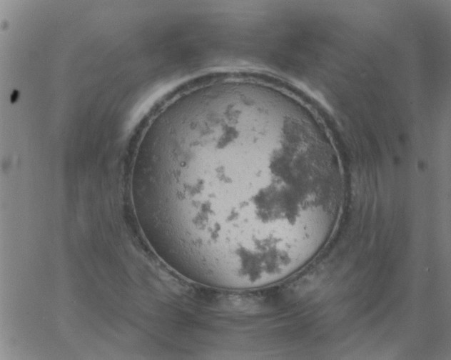 X0000061741311200512231450