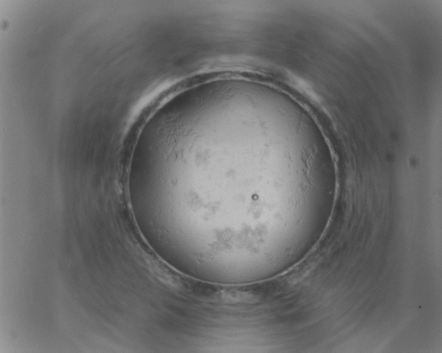 X0000061741312200512231450