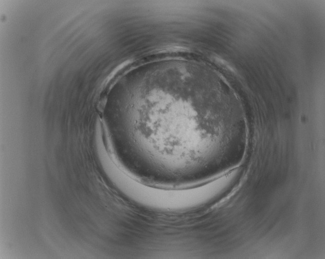 X0000061741313200512231450