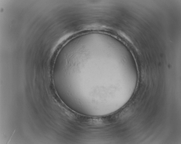 X0000061741315200512231450