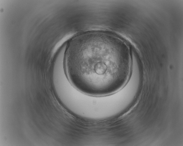 X0000061741317200512231450