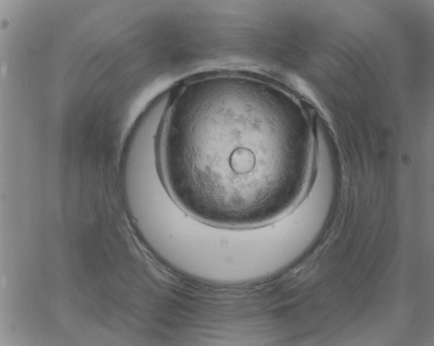 X0000061741320200512231450