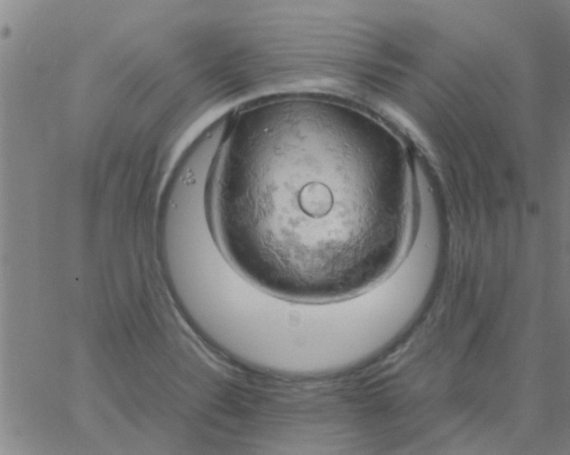 X0000061741324200512231450