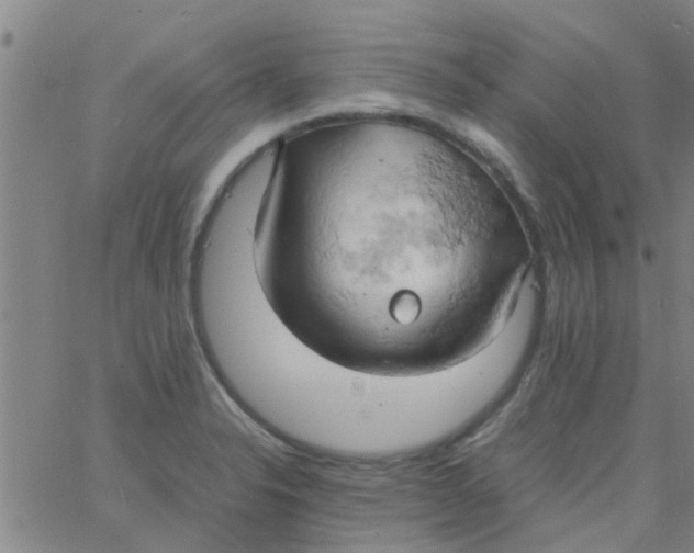 X0000061741326200512231450