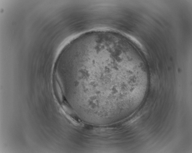 X0000061741327200512231450