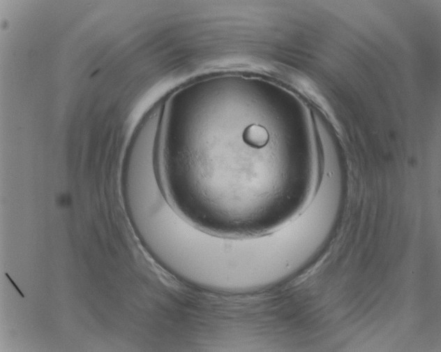 X0000061741328200512231450