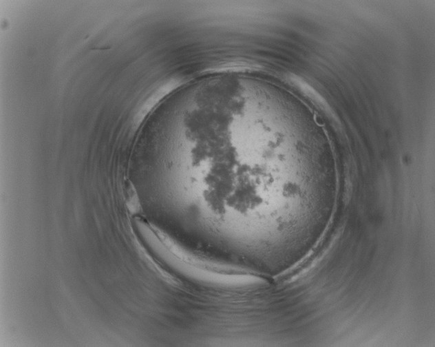 X0000061741329200512231450