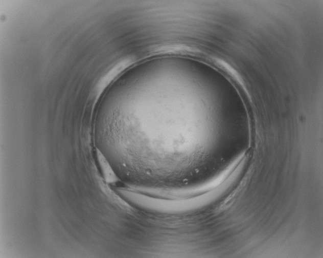 X0000061741330200512231450