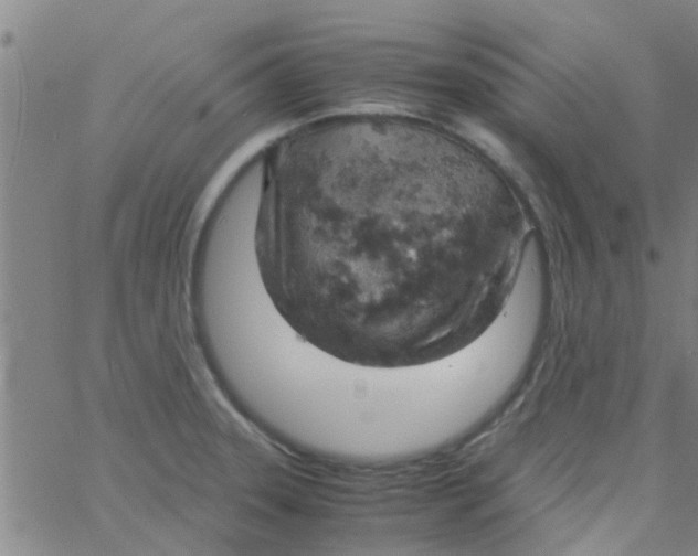 X0000061741331200512231450