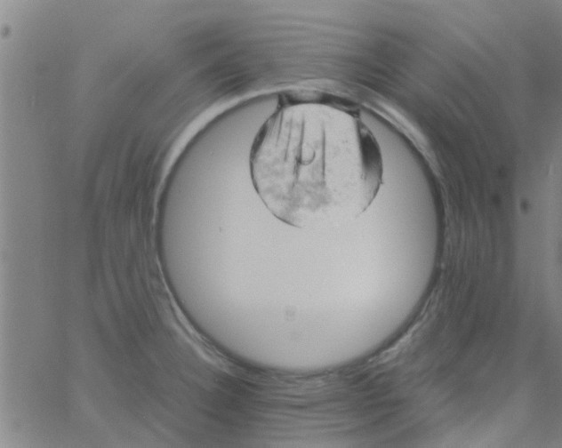 X0000061741332200512231450