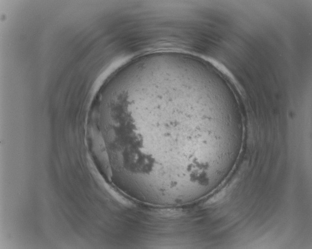 X0000061741333200512231450