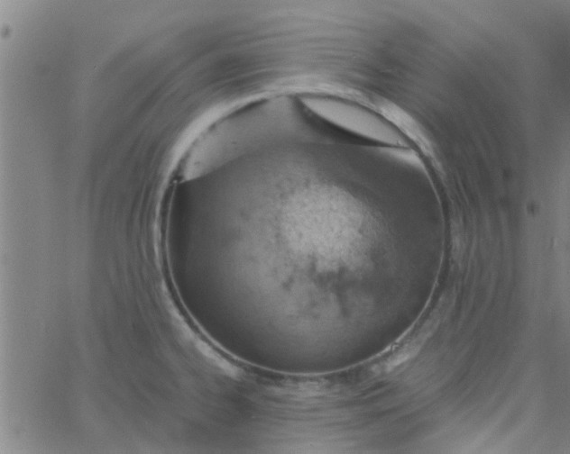 X0000061741334200512231450