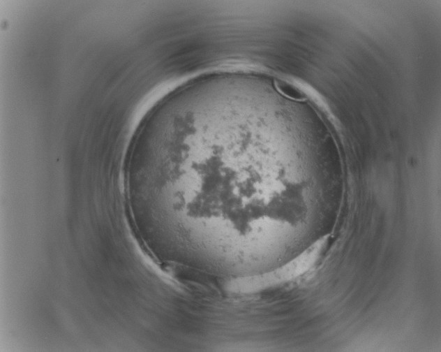 X0000061741335200512231450