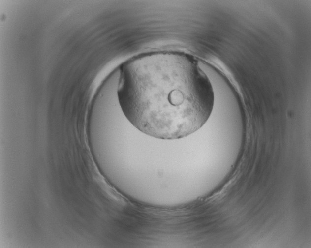 X0000061741336200512231450