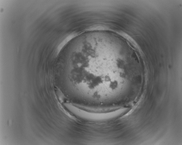 X0000061741337200512231450