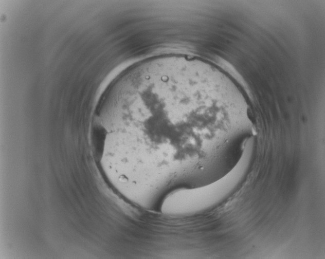 X0000061741339200512231450