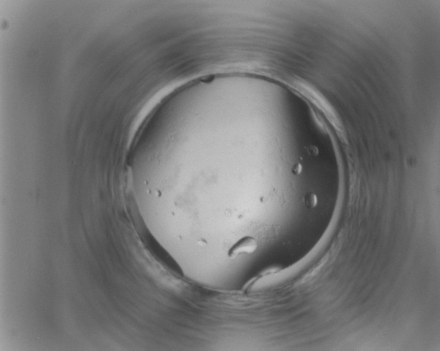 X0000061741340200512231450