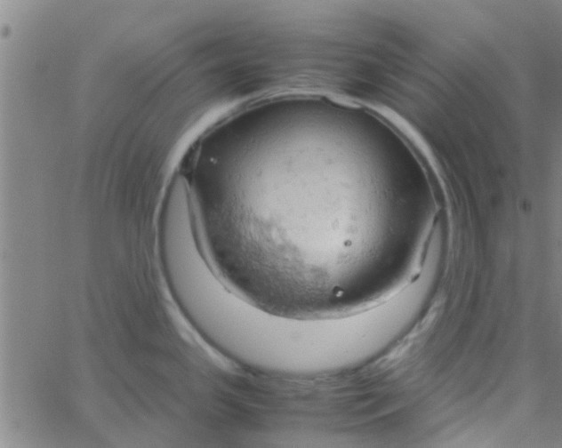 X0000061741341200512231450