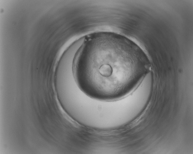 X0000061741342200512231450