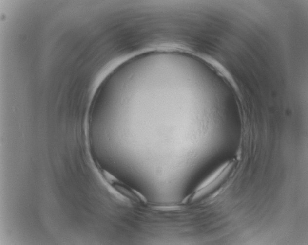 X0000061741343200512231450