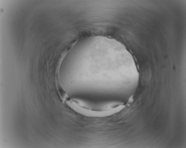 X0000061741345200512231449