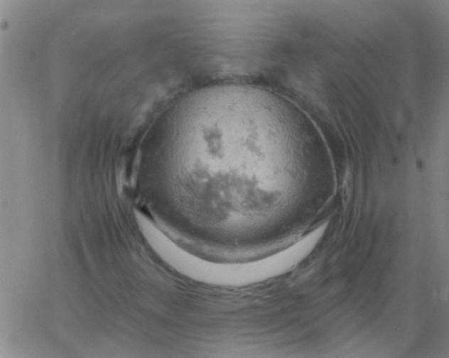 X0000061741348200512231449