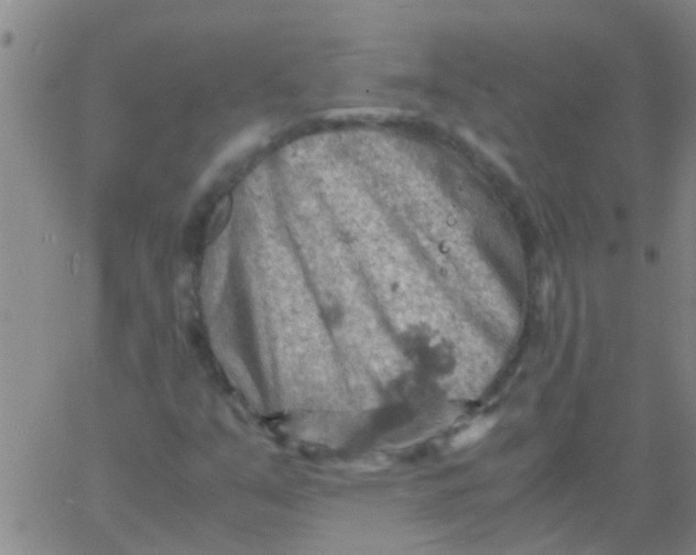 X0000061741351200512231449