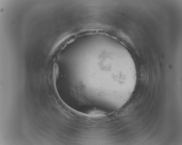 X0000061741352200512231449