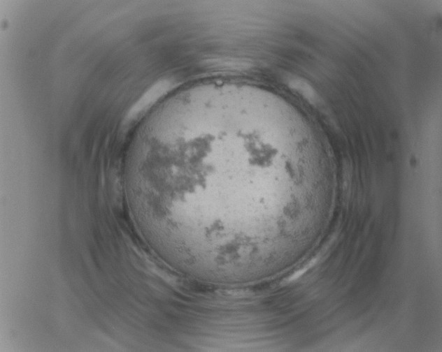 X0000061741354200512231449