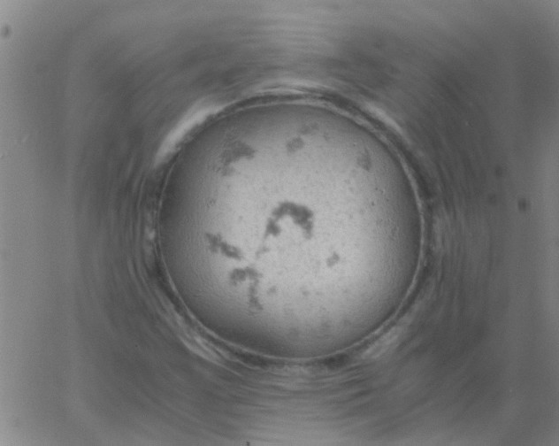 X0000061741355200512231449