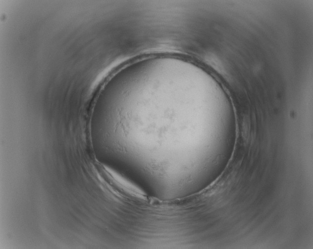 X0000061741356200512231449