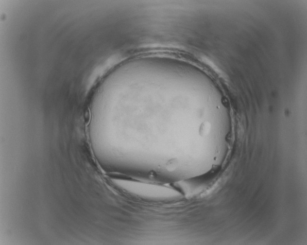 X0000061741357200512231449