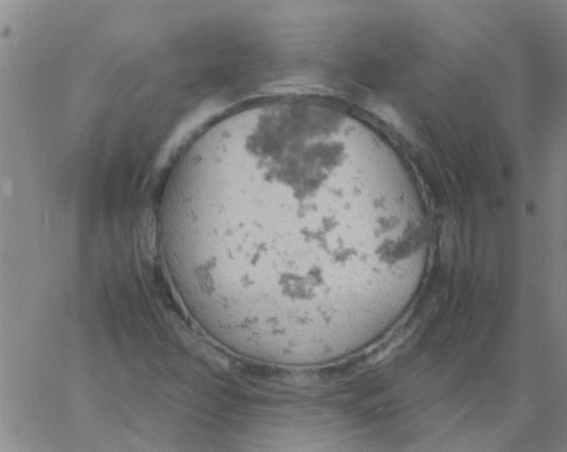 X0000061741358200512231449