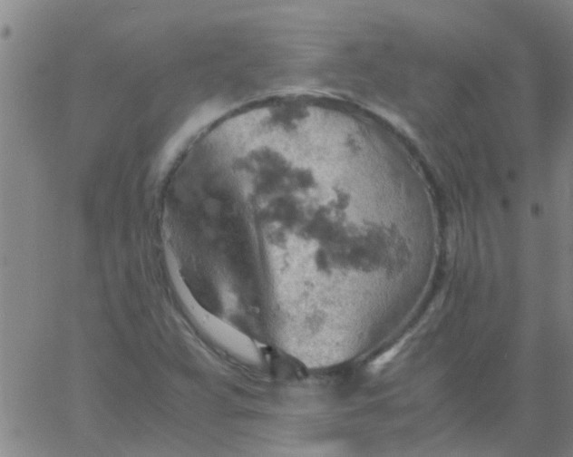 X0000061741359200512231449