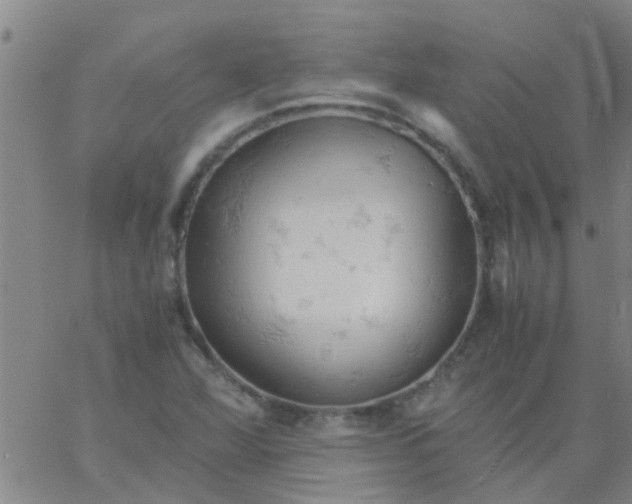 X0000061741360200512231449