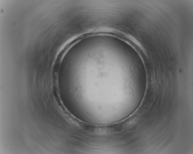 X0000061741364200512231449