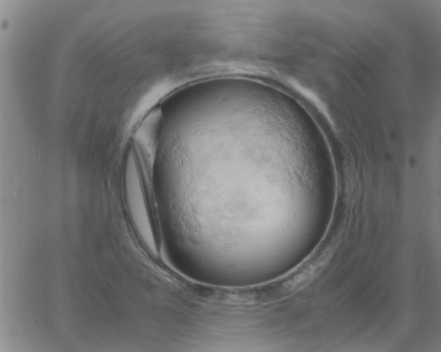 X0000061741365200512231449