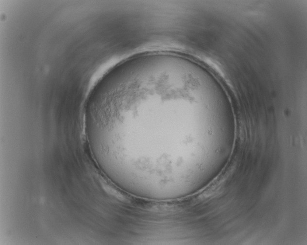 X0000061741366200512231449