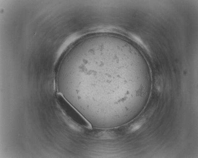 X0000061741368200512231449