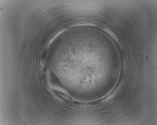 X0000061741369200512231449