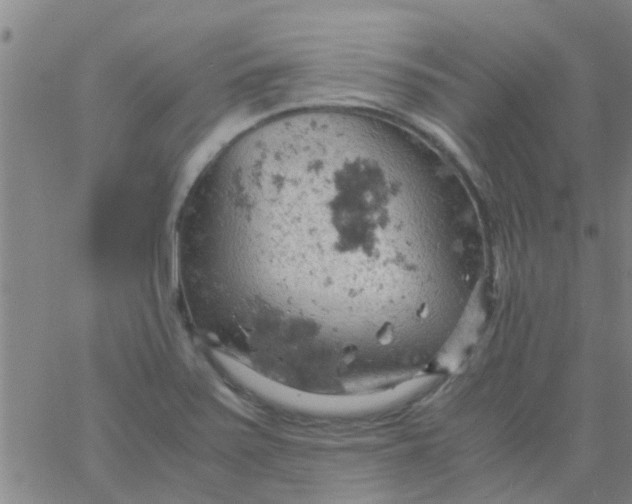 X0000061741371200512231449