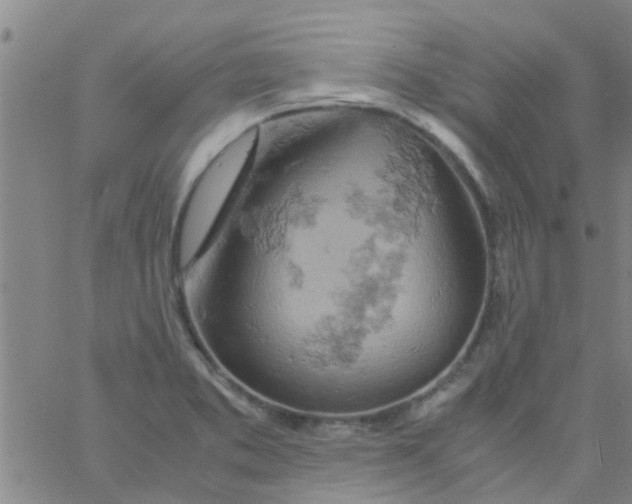 X0000061741373200512231449