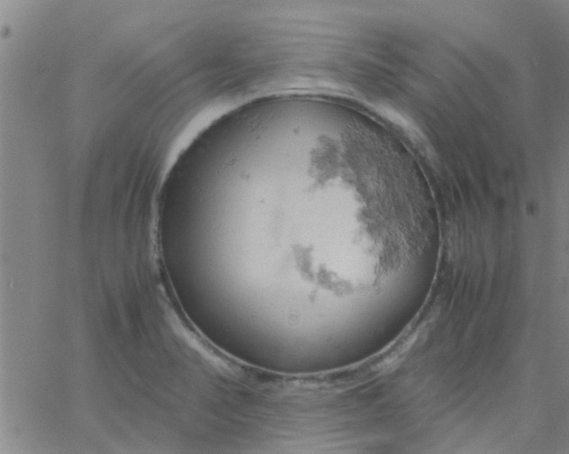 X0000061741374200512231449