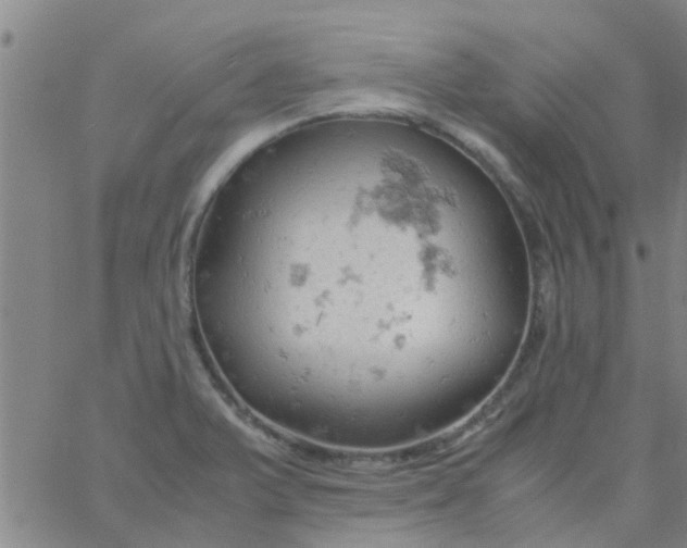 X0000061741375200512231449