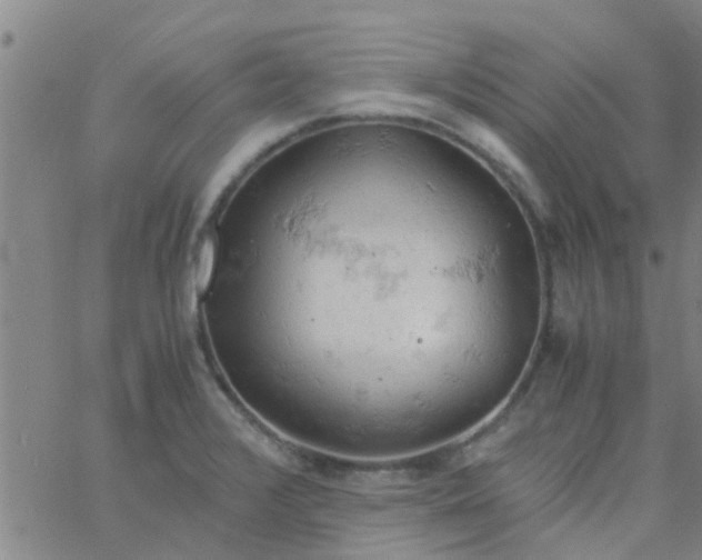 X0000061741376200512231449