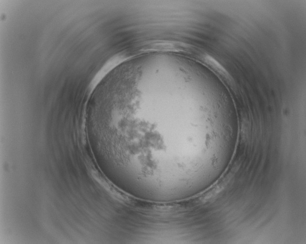 X0000061741378200512231449