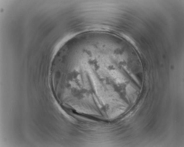 X0000061741379200512231449