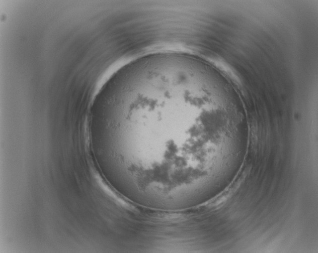 X0000061741382200512231449