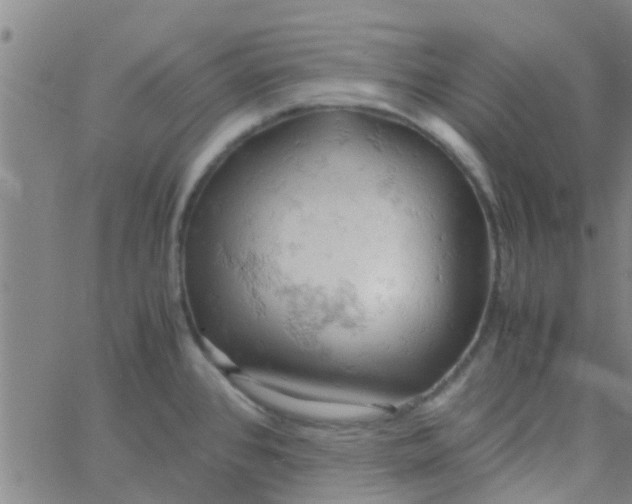 X0000061741384200512231449